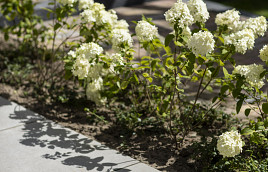 GeoCeramica Roccia Grey 100x100x4 cm