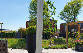 Terras+ Tegel Dark Grey 60x60x4 cm