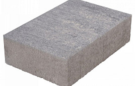 Terras+ Steen 20x30x8 cm Grezzo